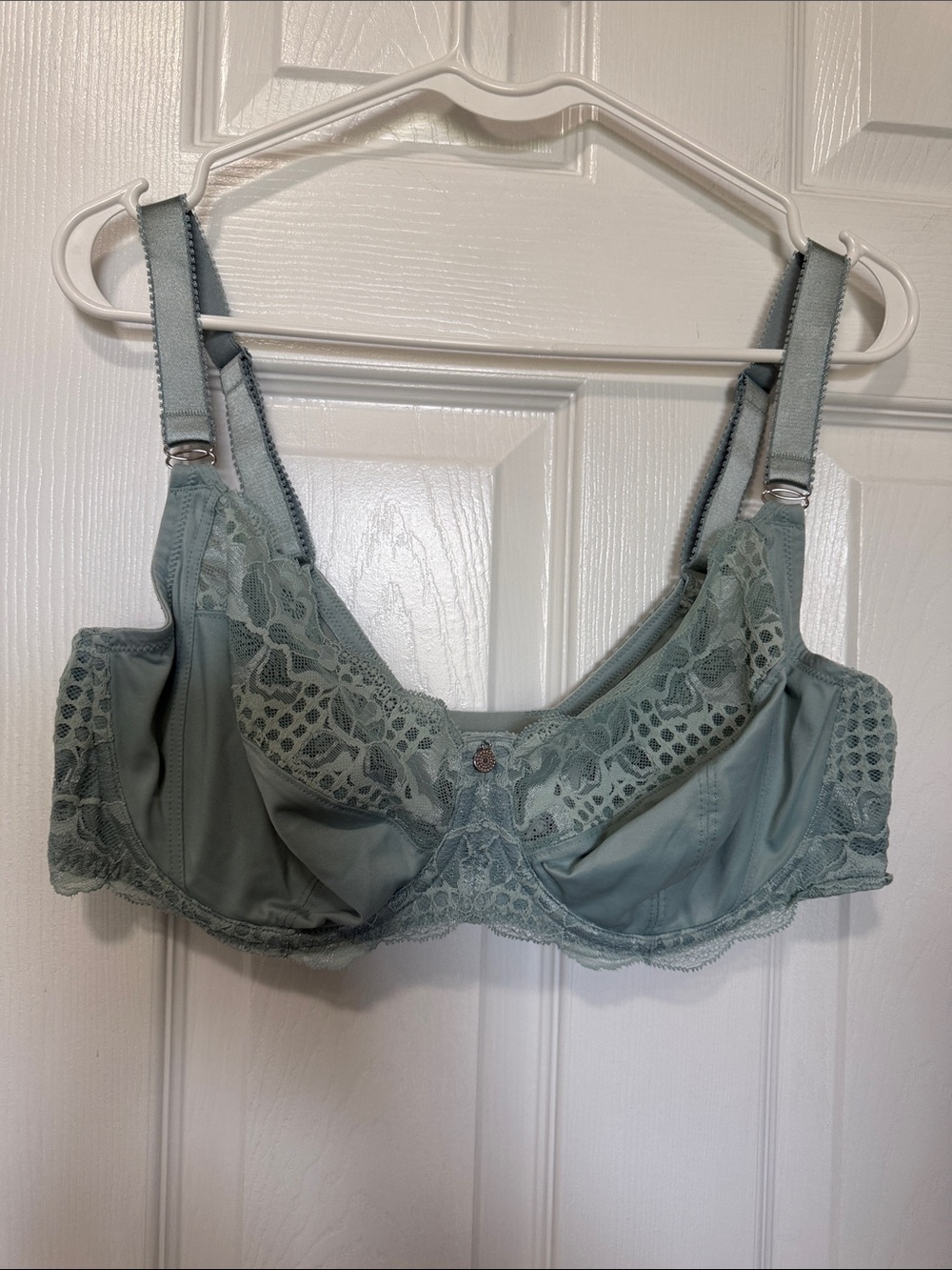 Fantasie Reflect Aqua//Mint Lace Full-Coverage Underwire Bra Sz 38DDD